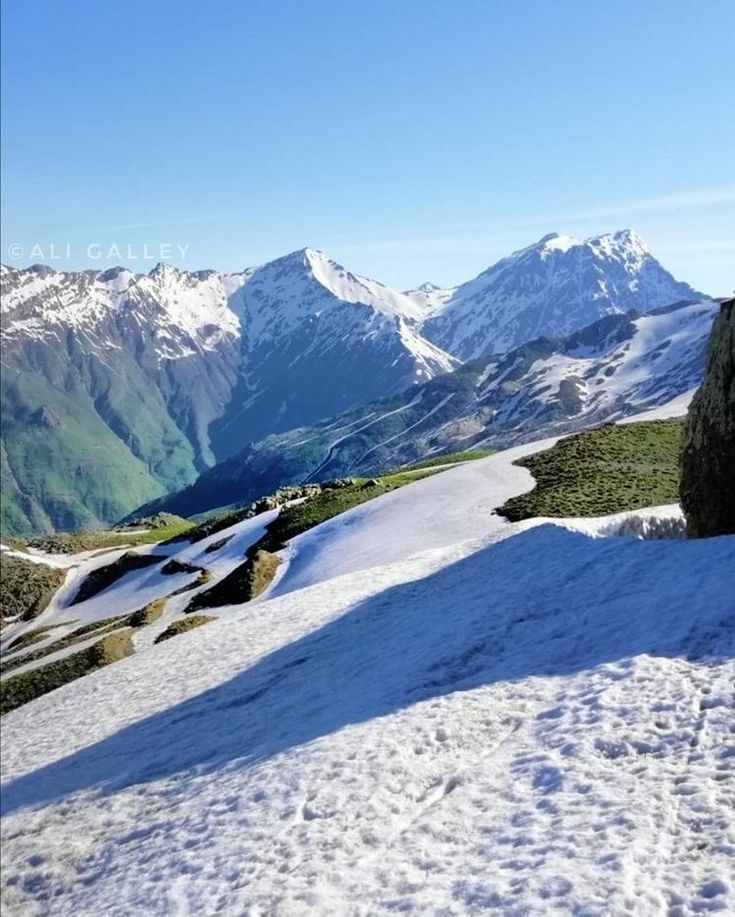 The Mountains tweet media