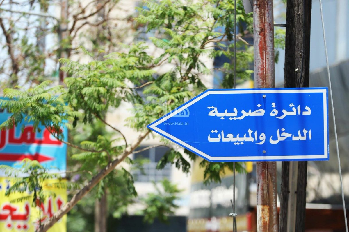 هلا أخبار tweet media