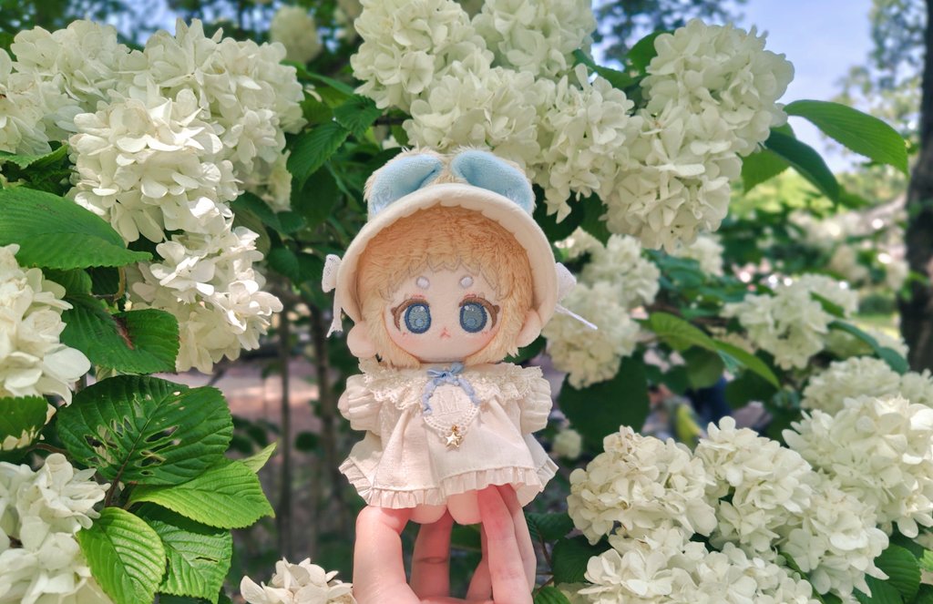 mcomco_nui's tweet photo. 公園日和！
もこもこしたお花可愛かった🐑 https://t.co/IL5Fy8oSO2