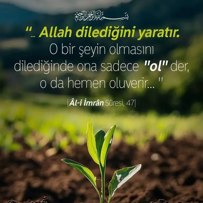 yamanbaybars's tweet image. Ve Aleyküm Selam @m_erdogan61

🇹🇷☝️🤘🇹🇷
Günaydın ☀️
Huzurlu Sabahlar ☕️
İyi Haftalar..

#FreeTurkistan
#FreePalestine
#FreeIran‌