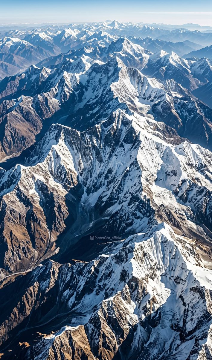 The Mountains tweet media