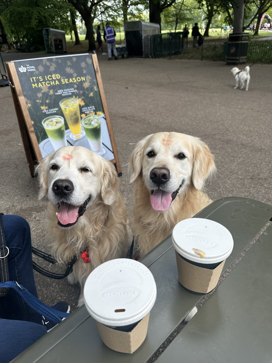 HelpForMovers's tweet image. Good morning … heading back to Devon shortly. Such a lovely weekend! 

Enjoy what’s left of the Bank holiday 🥰

Spot the kisses on the boys? 💋💋

#bankholidayweekend #roadtrip