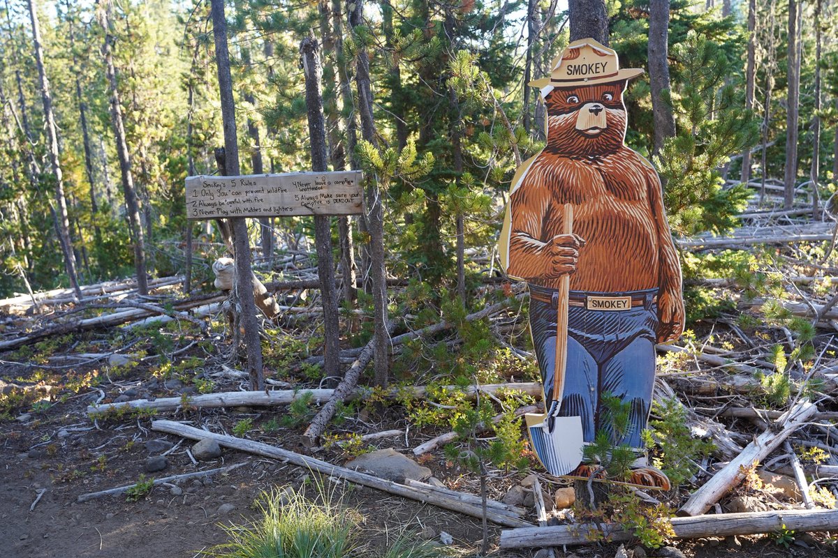 axyzworld's tweet image. Pacific Crest Trail Day 90: 2048.7–2080.6 mi (31.9 mi / 51.3 km)
テントが結露していなかった。それだけでうれしい。撤収して出発しようとすると、朝日がマウントジェファーソンを照らしていたのがとてもきれいだった。みんながいると話してしまってなかなか出発ができず、結局出発したのは6時半頃