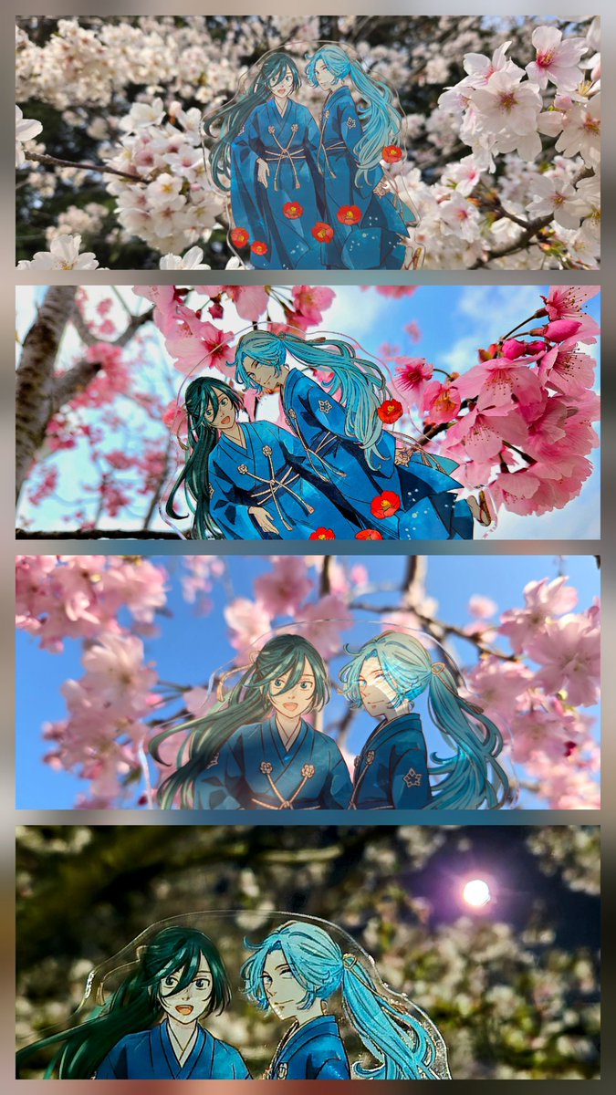 雪音 tweet media
