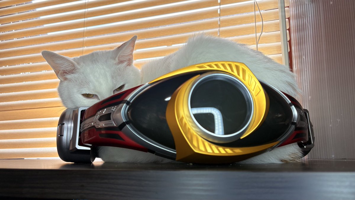 仮面ニャイダーおる