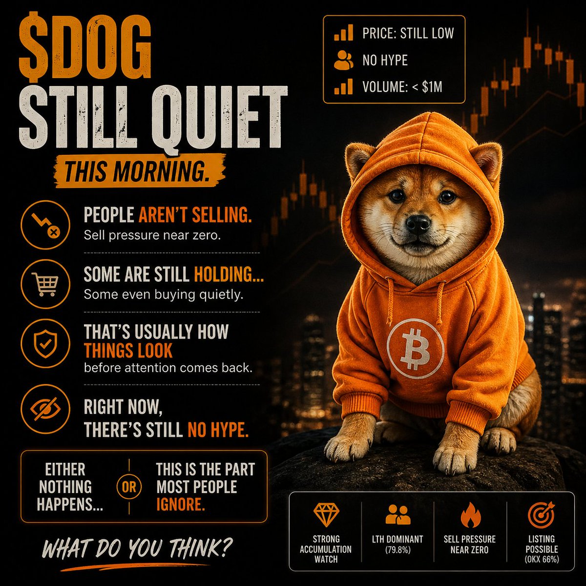 DOGPULSE 🟠 | $DOG Intelligence tweet media