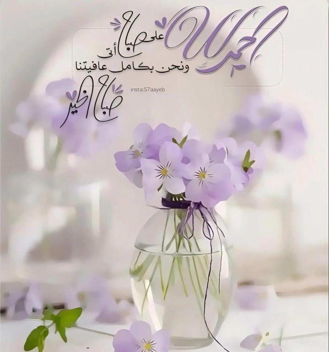 𝓢ـ🎀ـ𝓸𝓷𝓪🍃 tweet media