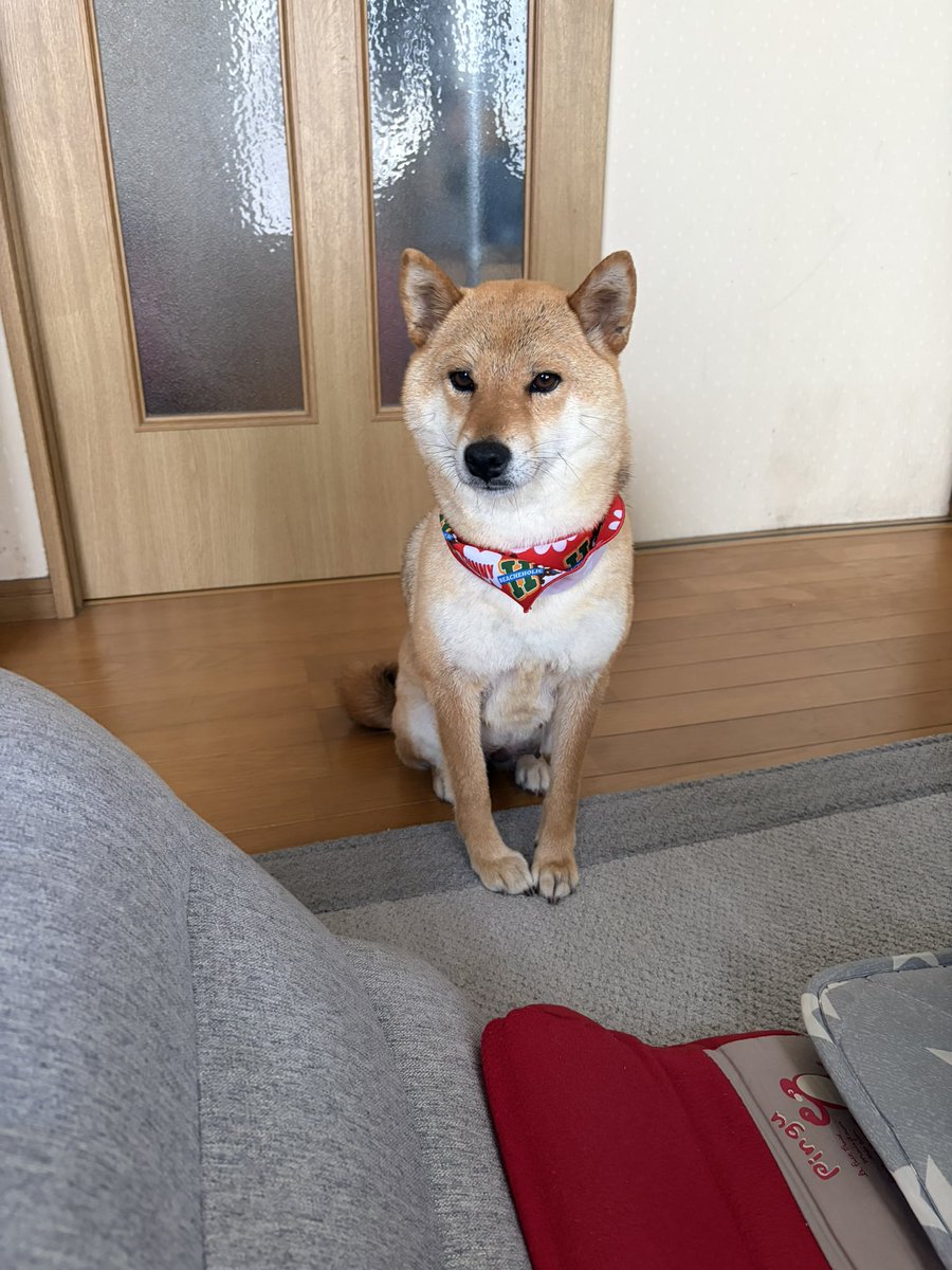 レモンシュガー tweet media