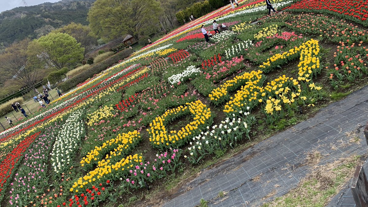 Mininuts⭐️(みになっつ⭐️) tweet media