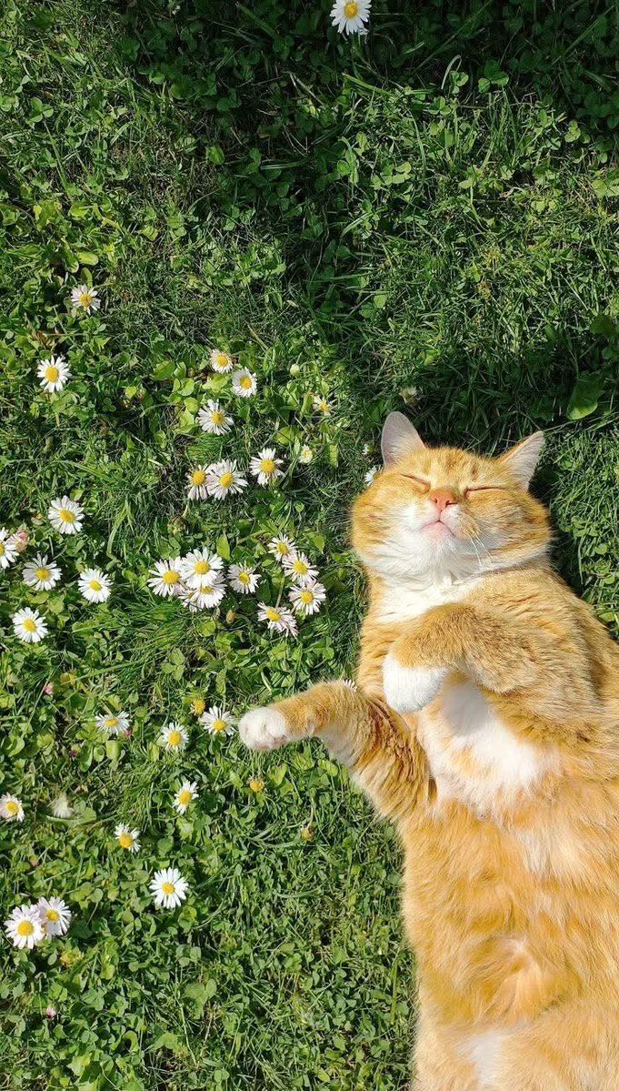 🕊️🩵 اِزرع جَميلك واللهُ يَحفظُ ما تزرعُهُ من أَثَر 🫰🏻✨🌿

يسعد صباحكم 🌼☕️
#صباح_الأشياء_المُشرقة 
#صباح_آلخيــــر 
#الحمدلله_دائماً_وابداً 
#صباح_الخير_والسعادة