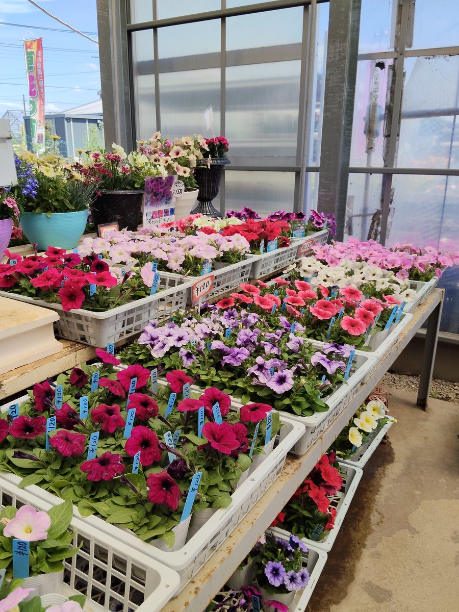 フラワーラジオ(公式) tweet media