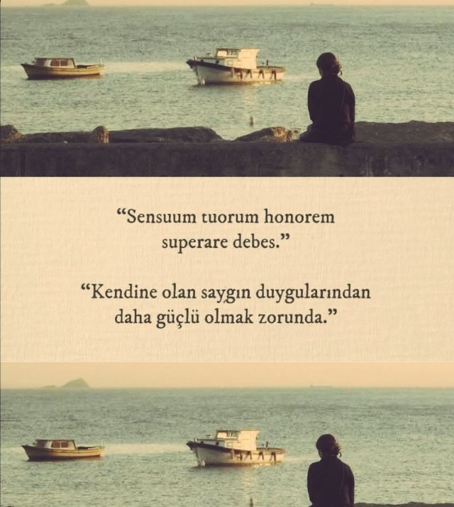lacrimaesomnia's tweet photo. https://t.co/yAZmp8cgbh