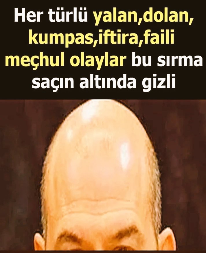 🆂🅴🅳🅰️ tweet media