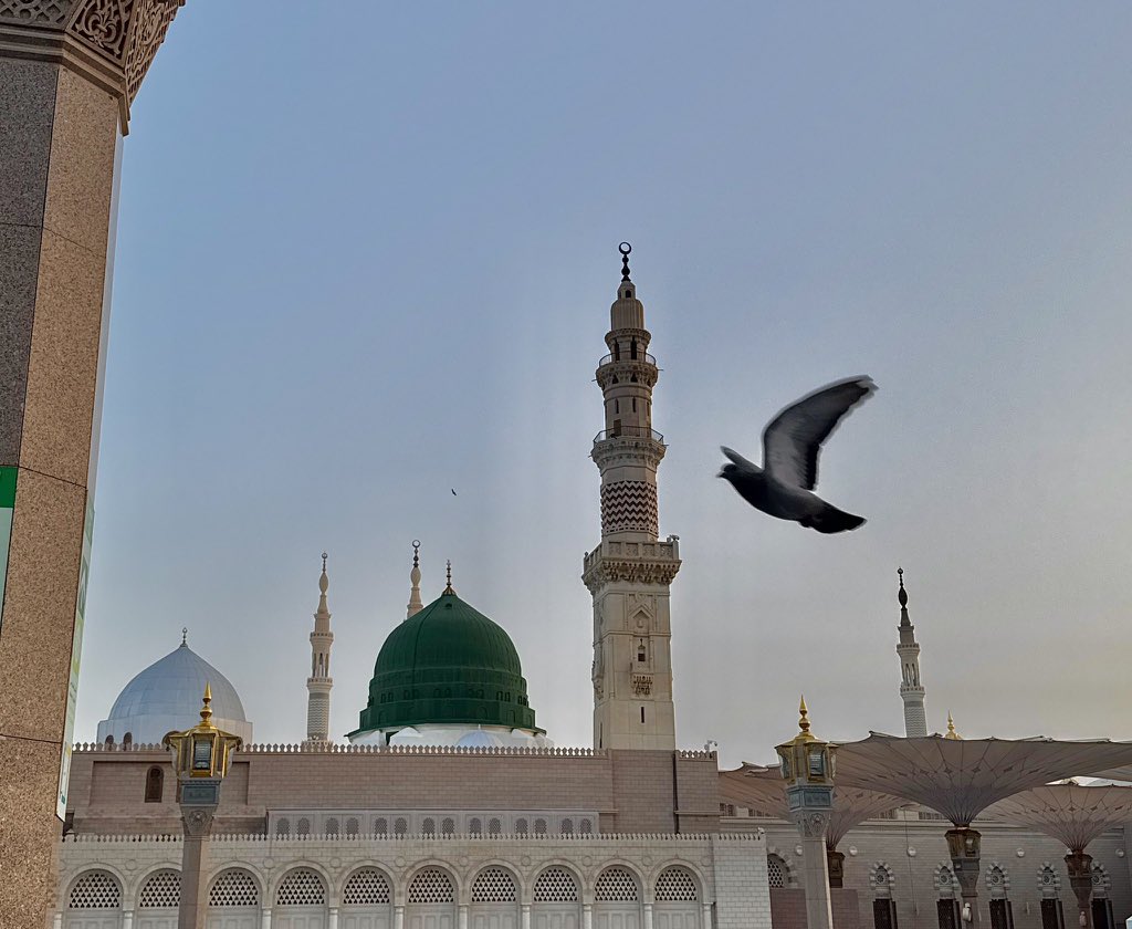 Muhammad arif tweet media
