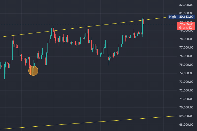 ₿TC ℹ️nvestor 🌴 tweet media