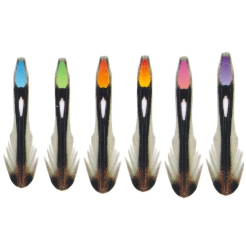 Semperfli Fly Tying tweet media