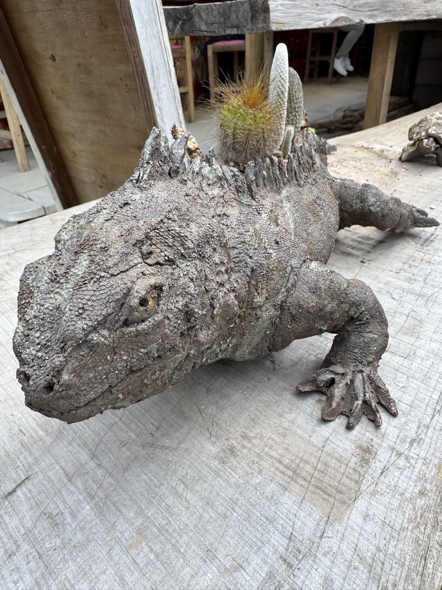greenpig38's tweet photo. 笠間
ひまつり https://t.co/h6YGsNWcbb