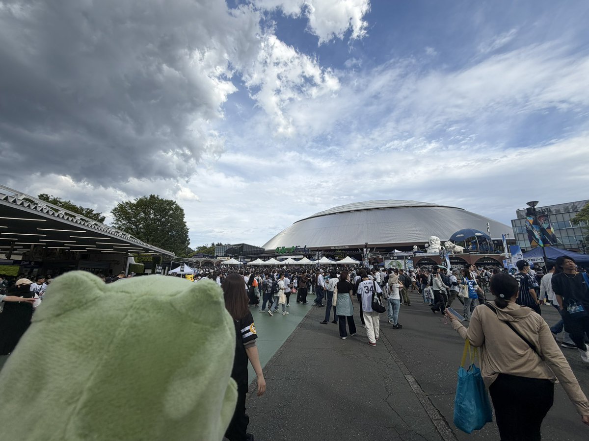 マル、、、 tweet media