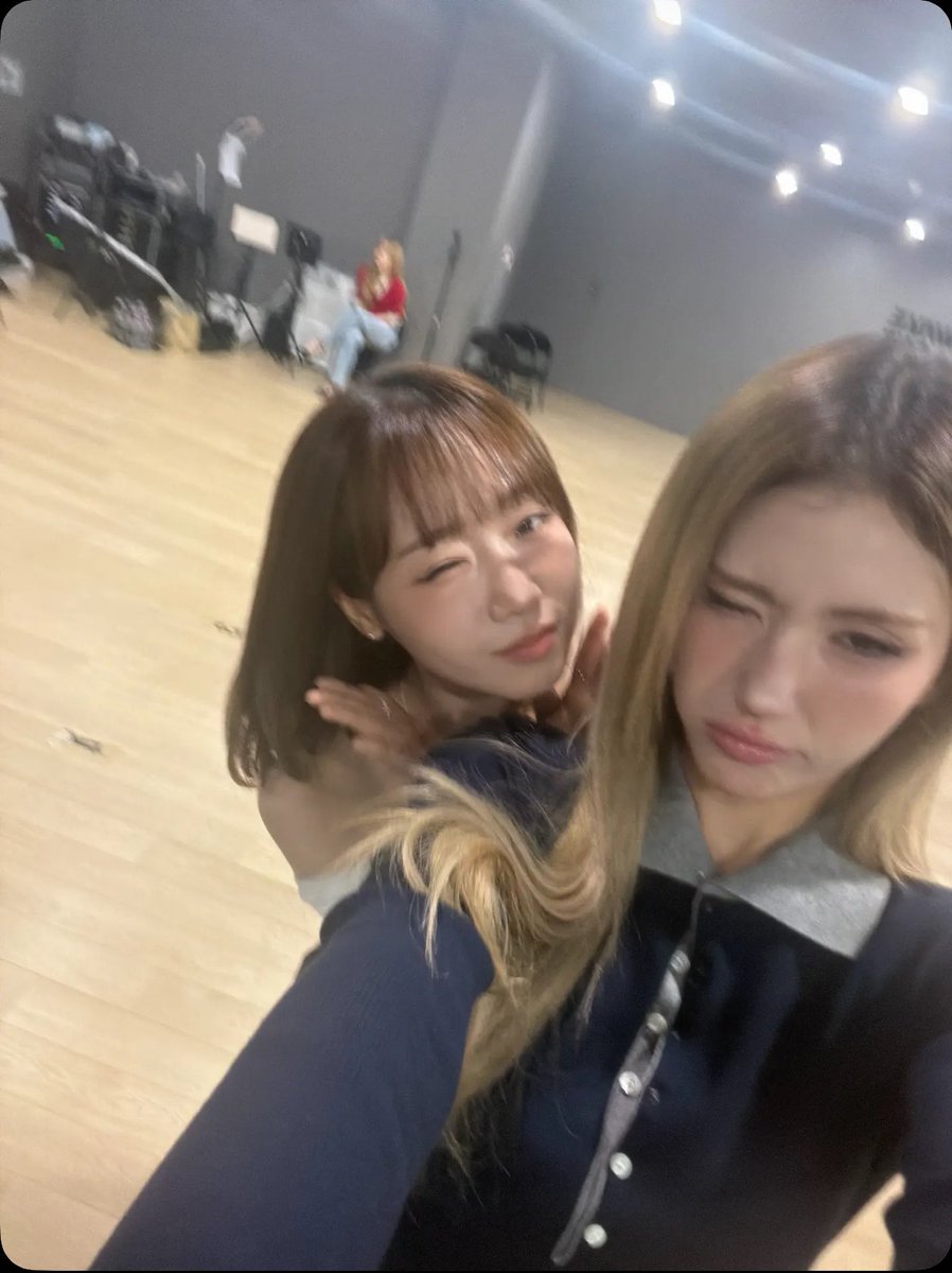 세라픽 tweet media
