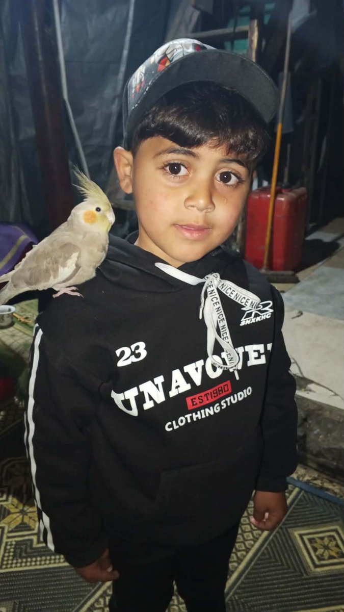 SSbyl65415's tweet photo. Hello my friends, the child Saif has beautiful skills, but he needs your support to develop them. If you love Saif, support him, he who has a good heart. 
🇵🇸
https://t.co/XICGQdePzh https://t.co/AqCuzNCM5x