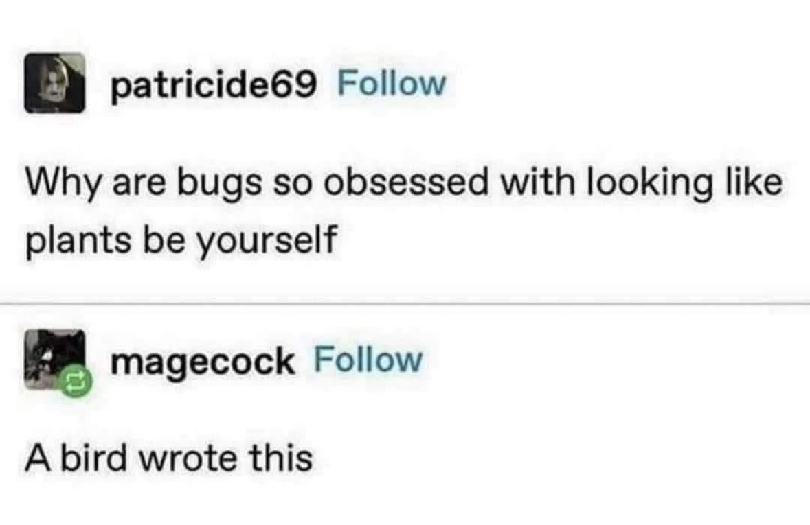 Respectful Memes (@respectfulmemes) on Twitter photo 