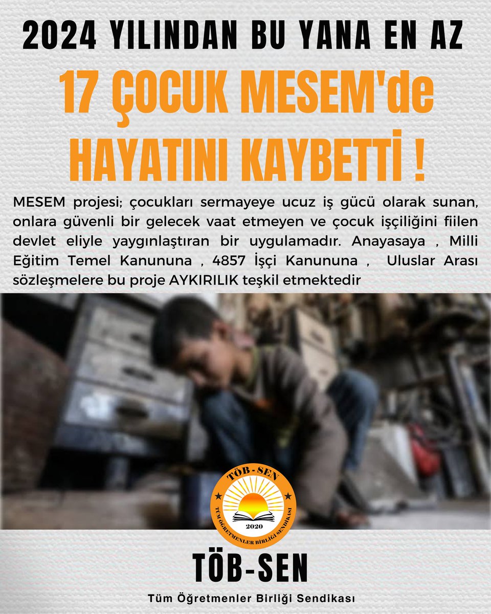 SERKAN BEBEK tweet media
