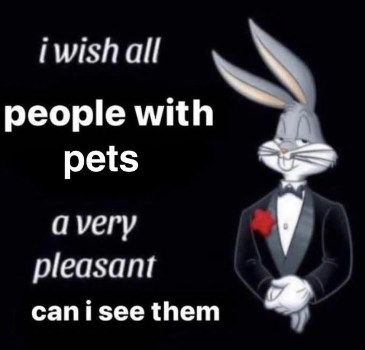 Respectful Memes tweet media