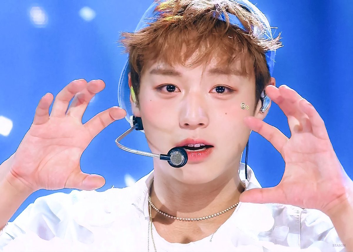 윙나잇 tweet media