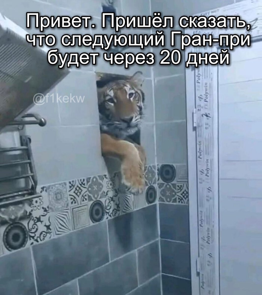 Да слава богу, эти ваши гп пока лидирует тот кто лидируют ощущаются как батрачка ебаная