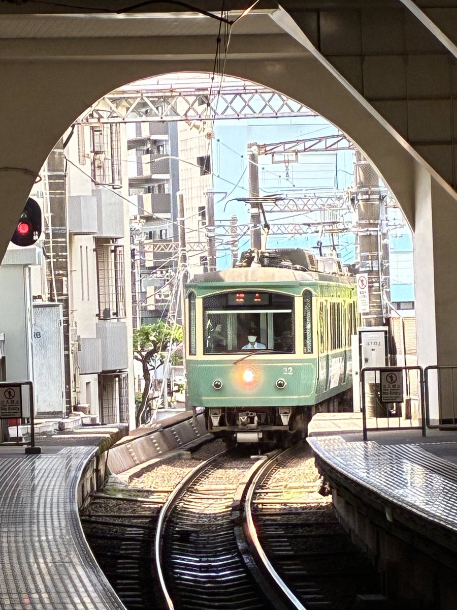 w2rinrin's tweet photo. 江ノ島編
しらすうまい！ https://t.co/XZS1bMENxx