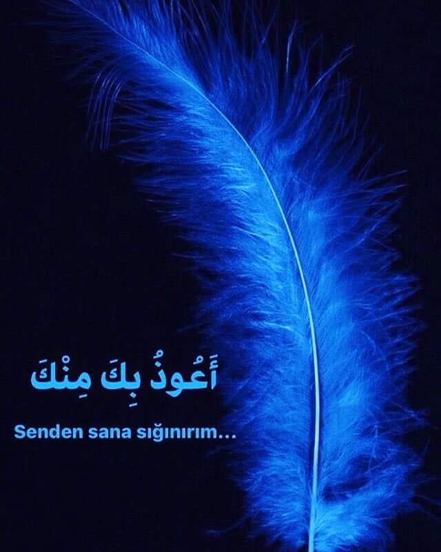 Handan Özduygu tweet media