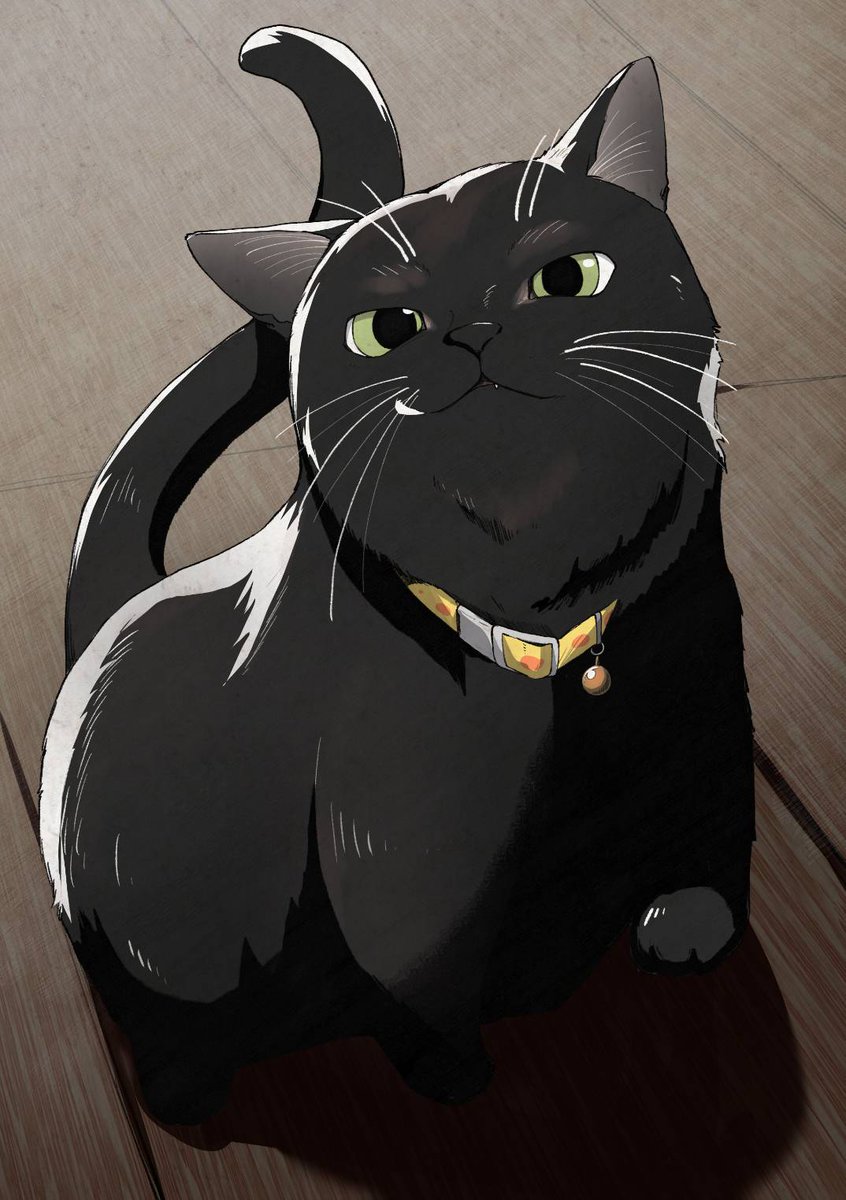 見よ!悪鬼羅刹修羅豪傑無双の黒猫の姿を! 