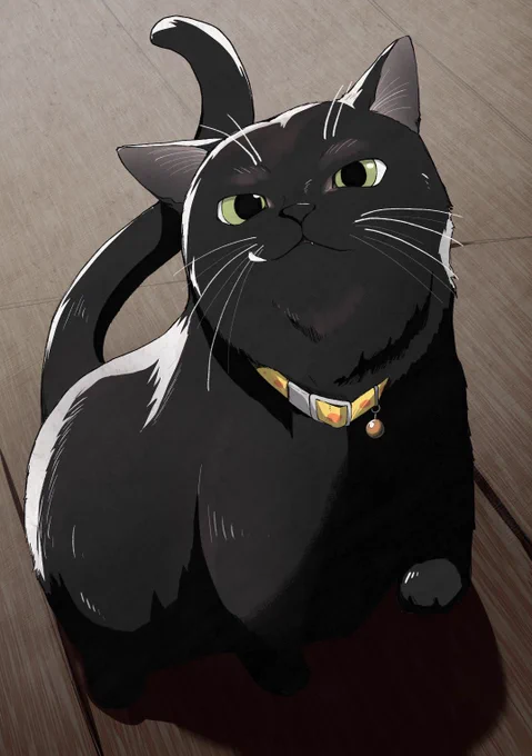見よ!悪鬼羅刹修羅豪傑無双の黒猫の姿を!