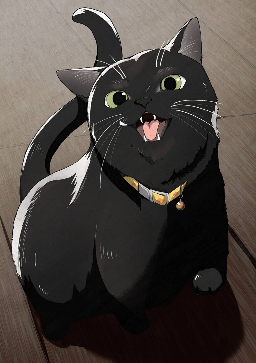 見よ!悪鬼羅刹修羅豪傑無双の黒猫の姿を! 