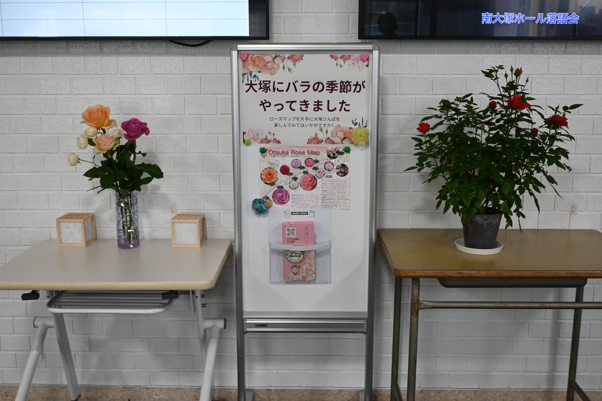 ootuka0403's tweet photo. 南大塚地域文化創造館の受付脇に、色とりどりのバラ��展示しています✨

館内がパッと明るくなるような、見事な咲き誇りです。
お近くにお越しの際は、立ち寄ってみませんか。
＃豊島区 ＃南大塚 ＃バラ https://t.co/pRpzZY3kWC