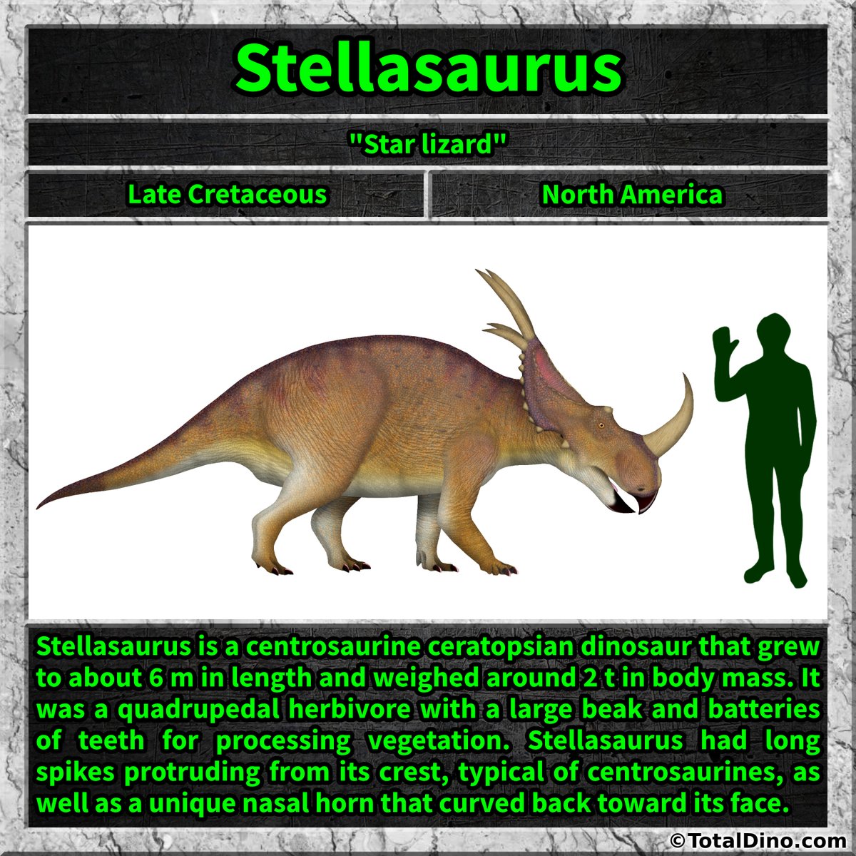 Total_Dino's tweet image. Happy Star Wars Day!
#stellasaurus #dino #dinosaur #dinosaurs #cretaceous #maythefourth #starwarsday
