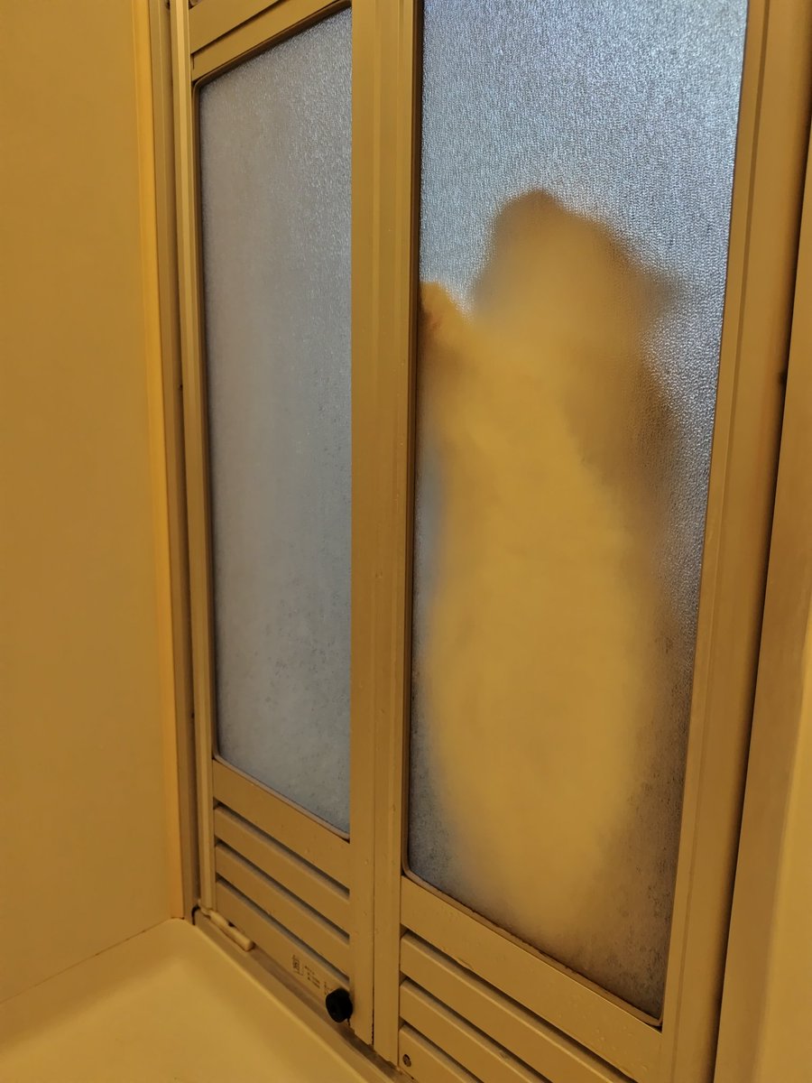 愛ちゃん(私の猫見て見ておばさん) tweet media