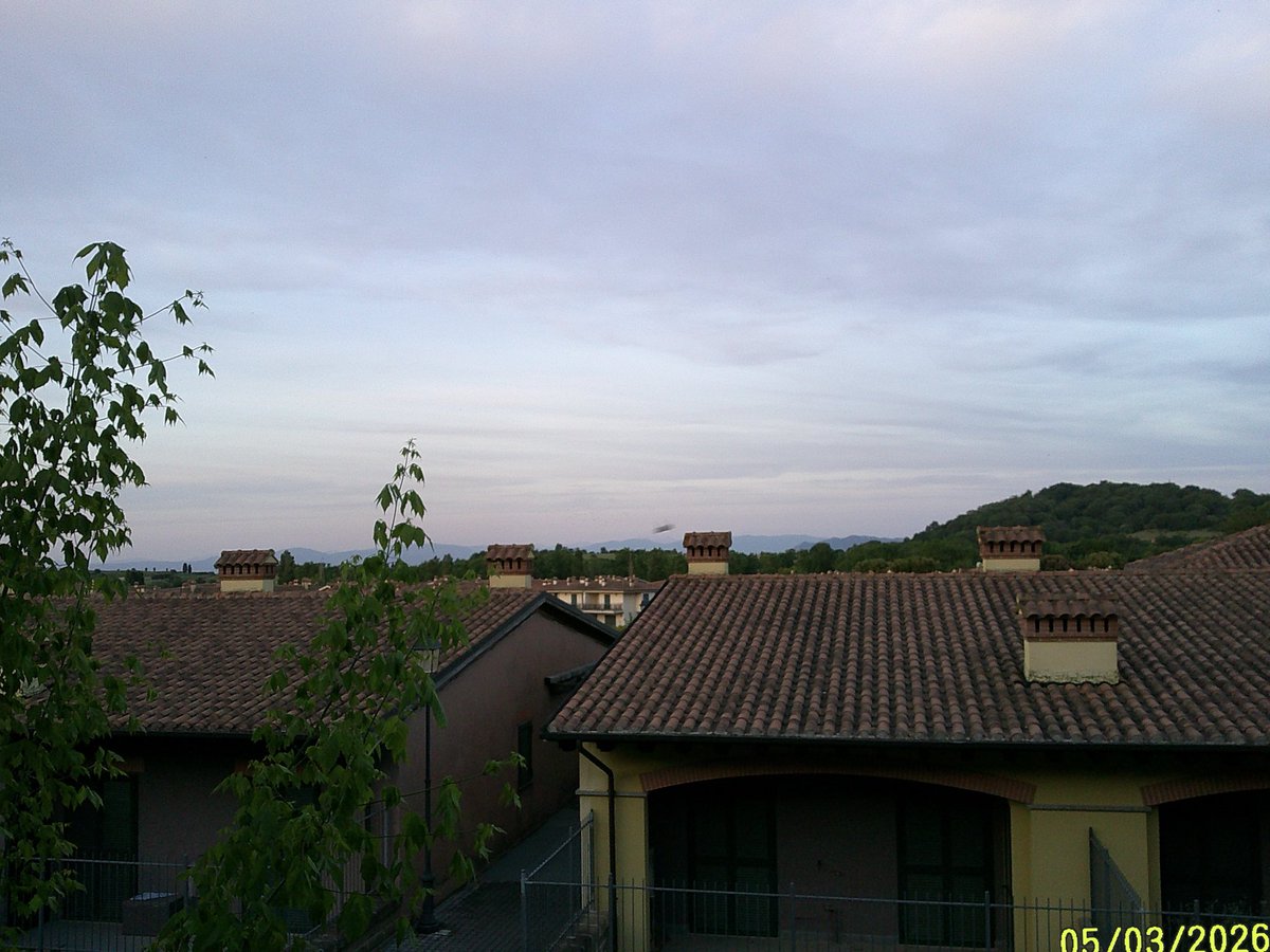 canonclaycomb's tweet photo. Buongiorno. 🇮🇹 https://t.co/MBOYeUmBGY