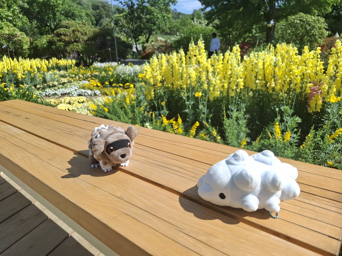ともだちと

あってきたよ(･⊃⊂･)