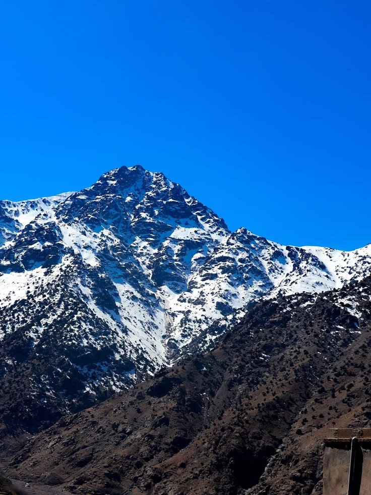 The Mountains tweet media