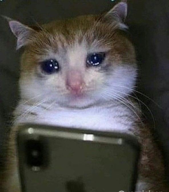 🌸⁷Paulaᵕ̈ will see bts🪭 tweet media