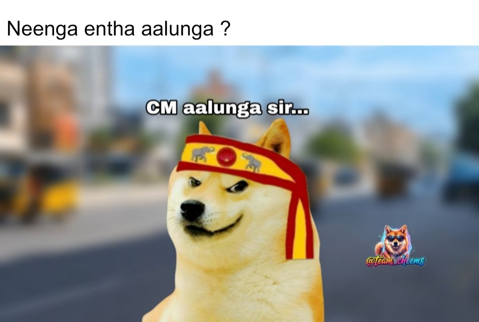 team_cheems's tweet photo. CM Aalunga 😎 https://t.co/FzrKPWwV7A