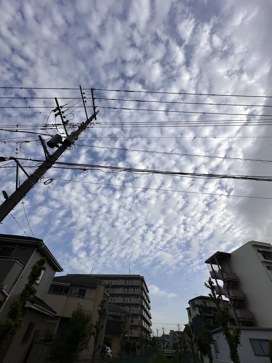 1ban_chi's tweet photo. こんにちは♪一番地です。
今週のお知らせです。
今週金曜日も元気に営業致します。連休明けの疲れは、一番地で癒して下さい。オススメします。
ご来店お待ちしております。
#酒が飲めるカメラ屋　#カメラは肴 https://t.co/shbK6fpka3