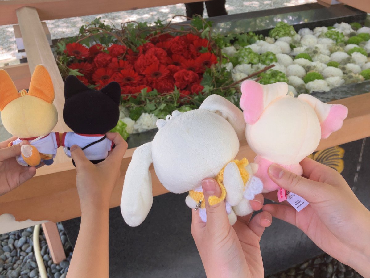 🍓𝕒 𝕪 𝕒 𝕜 𝕒 🦊👑🐈‍⬛ tweet media