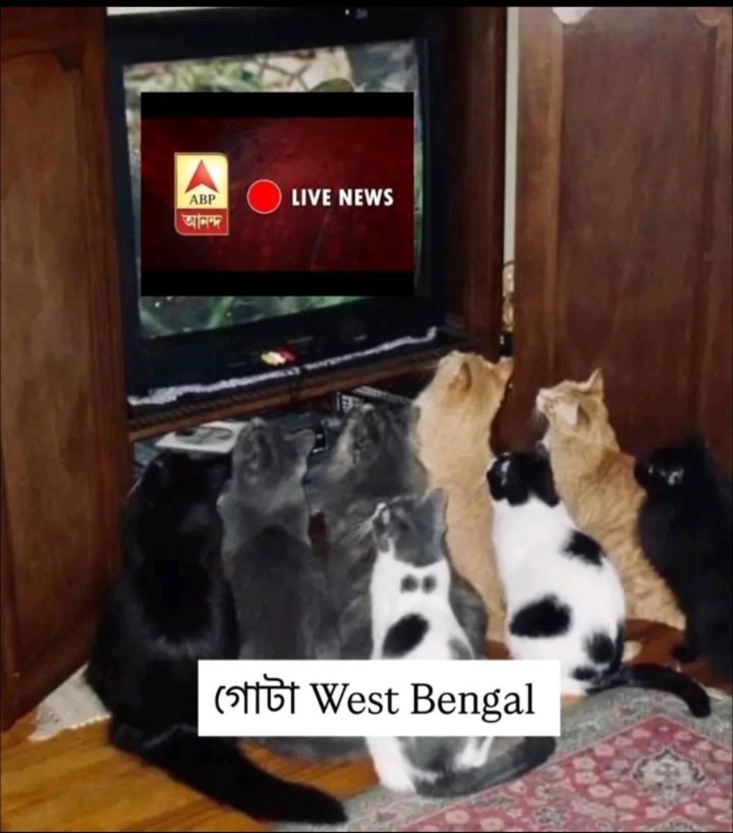 Sweta tweet media