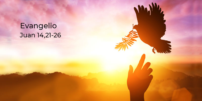 #LeeElEvangelioYReflexiona
#4deMayo
