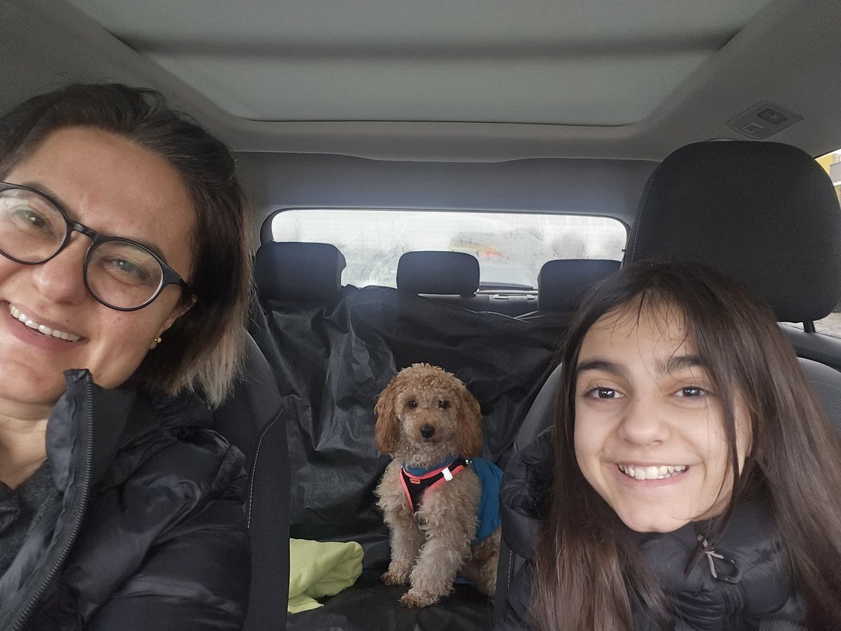 Zozan Özgökçe tweet media