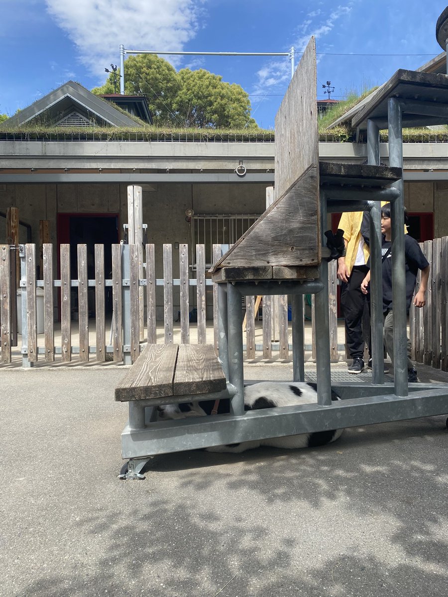クマ牧場 tweet media
