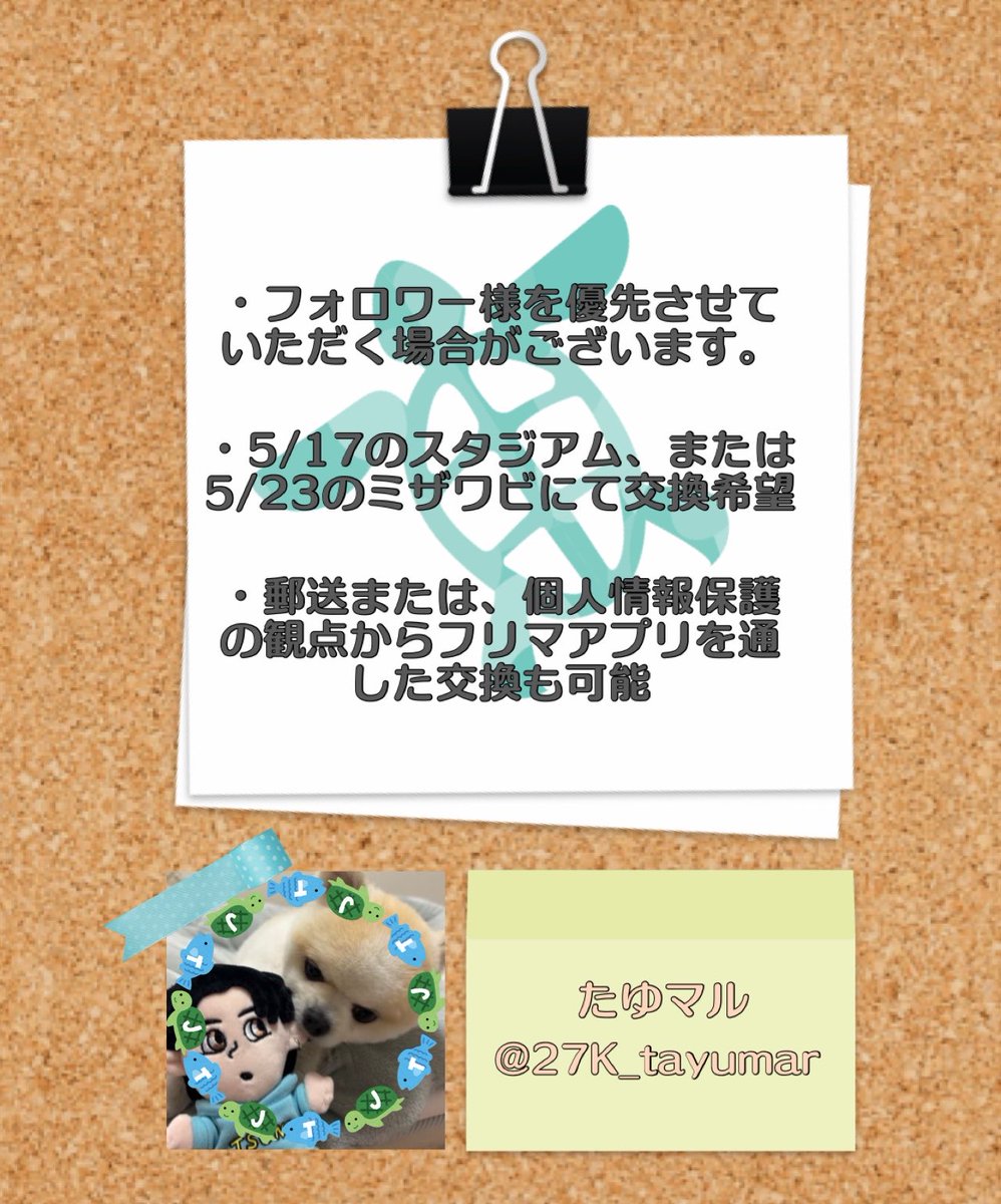 たゆマル🐟🐢 tweet media
