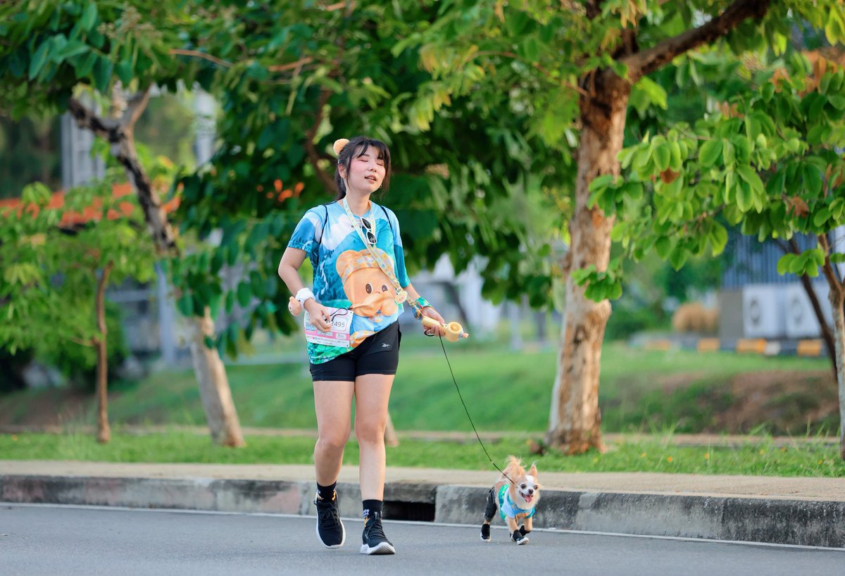 คุณชายสี่_ด็อกกาแลตของน้องเนย tweet media